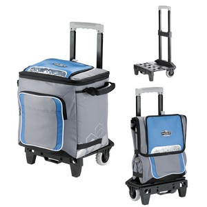 arctic zone cooler with wheels