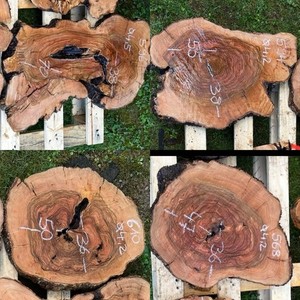 Oliven Bohle | eBay.de