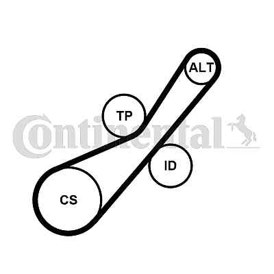 CONTINENTAL CTAM 6PK800K2 Keilrippenriemensatz für CITROËN,DS,FORD,MINI,PEUGEOT