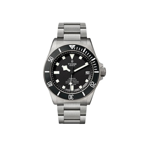 Tudor Ranger - M79950-0002 | eBay