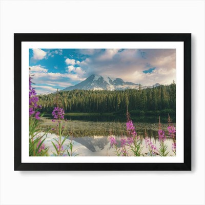 Mount Rainier Reflection Lake Flowe gerahmtes Wandbild Poster Leinwanddruck Bild