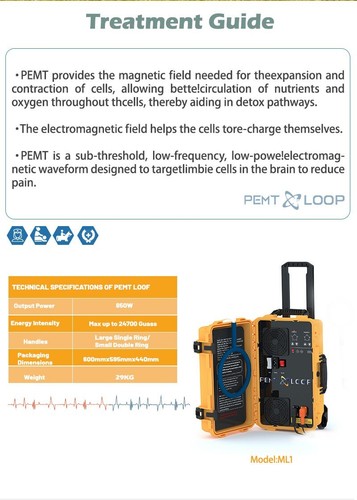 PEMT LOOP PEMF Magnetfeldtherapiegerät Pferd Schmerzlinderung Physio Magneto Equine - Bild 21 von 23