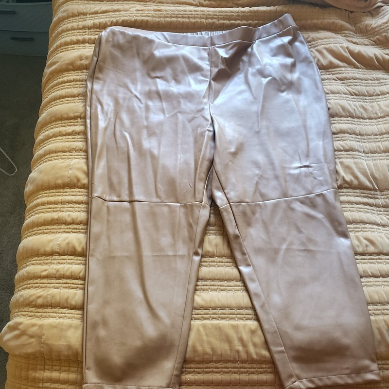 Women's 3X Brown Denise Bidot X Sonoma Faux Leather Pants