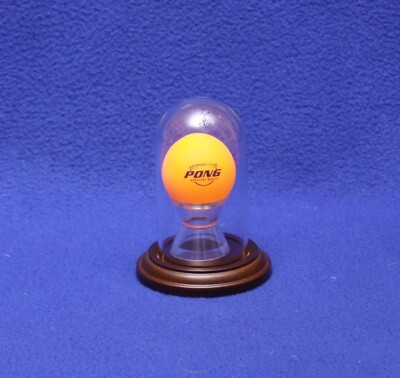 Beer Ping Pong Ball Personalized Glass Display Case Trophy Award