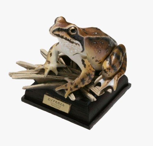 Nature Techni Colour Mini Figure Japanese Frog Ezo Brown Frog Ikimon Japan 2024 - 第 1/4 張圖片