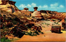 Petrified Wood and Erosions Petrified Forest National Park Arizona Postcard