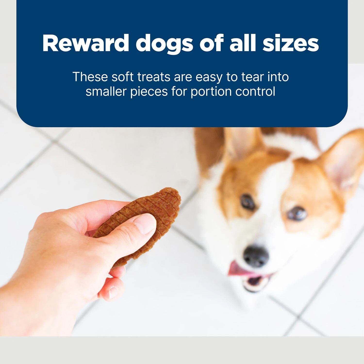 Blue Buffalo Nudges Natural Jerky Cut Dog Treats, Chicken Flavored (40 oz.)