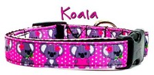 Koala Bear dog collar handmade adjustable buckle collar 5/8" wide or leash 