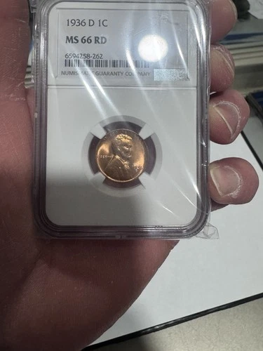 1936 D Ms 66 Rd By NGC