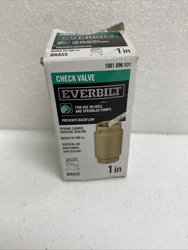 EVERBILT 1 Inch Brass Check Valve for Well and Sprinkler Pumps Rated to 200 PSI