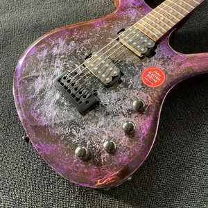 Guitar Parker Fly | eBay