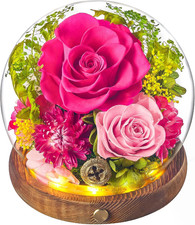 Forever Flowers for Delivery Prime, Valentine'S Day Rose Gifts for Her, Preserve