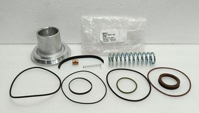 Berg - Larsen Entladung Ventil Reparaturset 89555619 NT1693 - W / Seals & Federn
