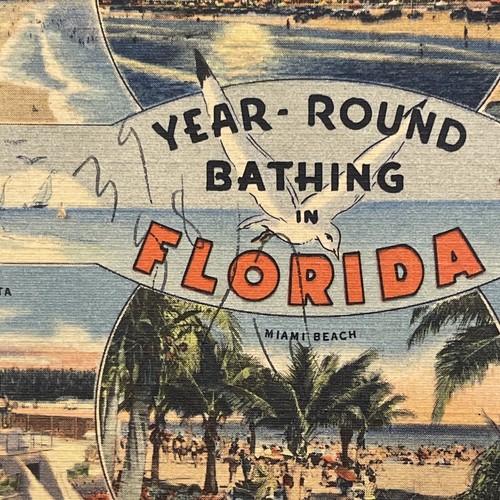 Lotto 7 cartoline turistiche vintage ~ anni '40 lino Florida centrale e spiagge - Foto 18 di 23