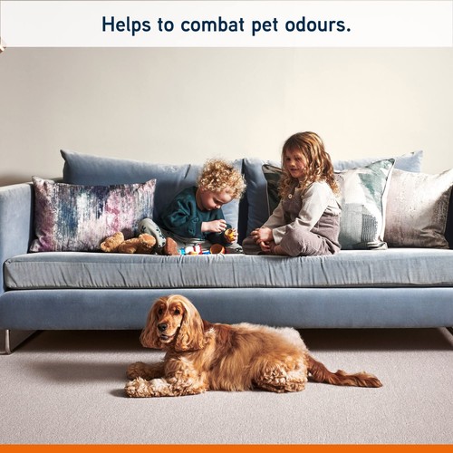 Vax Platinum Professional 4 Litre Carpet Cleaner Solution, Deep Cleans and Remov - Picture 6 of 10