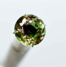  on The Hot Collector