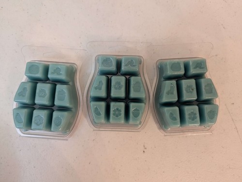 NEU Scentsy Palmen & Meeresbrise Wachsbarren 3,2 Oz. Netz Wt. 2,6 Oz. Lot X 3 - Bild 2 von 3