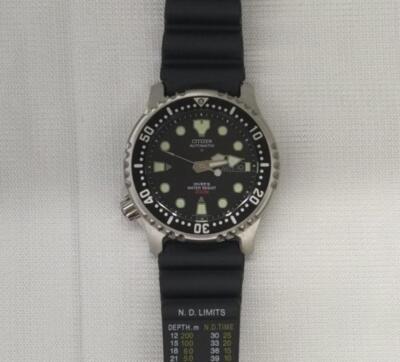 Citizen Promaster Diver Ny0040-09E Automatic Watch | eBay