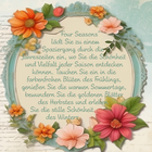 Bild 105 von 238