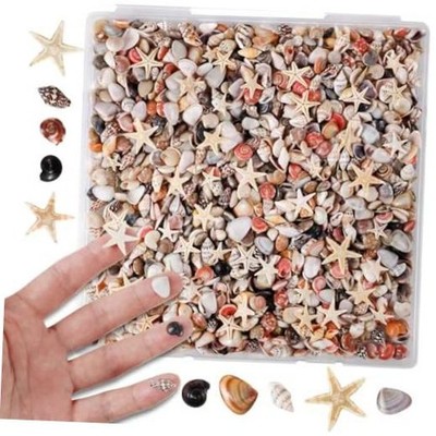 50pcs Tiny Strarfish&2000Pcs Tiny Mini Small Clam Sea Shells for Crafting