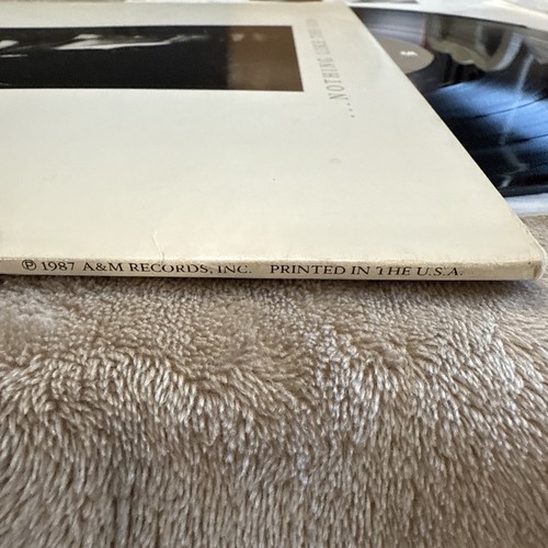 Sting Nothing Like The Sun Double 2 LP Record Vinyl Set AM Records SP 6402 - Picture 10 of 23