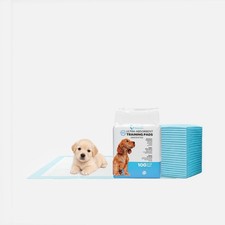 FPN Pee Pads Scented Blue Pet Pads for Dogs Wee Wee Pee Pads All Sizes  Pack