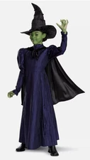 Wicked ELPHABA Deluxe Child Costume Dress, Cape And Hat Ages 4-6X Small NWT NEW!