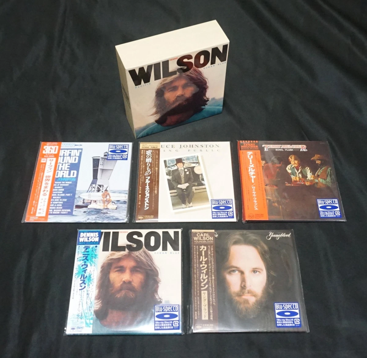 音乐CD Brian Wilson | eBay