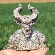 2.5" Natural Quartz Crystal Skull Hand Carved Yooperlite Skull Reiki Healing 1pc