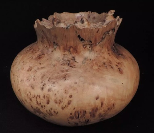 hand carved LOUPE DE PEUPLIER WOOD BOWL / POT unique 9.5" diameter - Picture 2 of 10