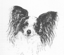 Papillon #2 - CUSTOM MATTED - 1963 Vintage Do...