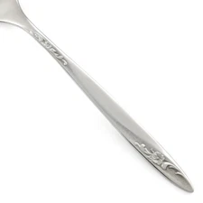 International BARONESS Stainless WM Rogers Mfg Co Deluxe USA CHOICE Flatware