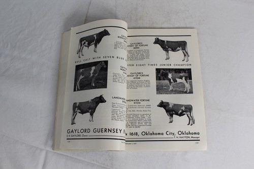 Guernsey Breeders Journal December 1, 1937 Cow Calf Bull Farms Cattle Dairy Ads - Imagen 10 de 18