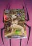 2024 Topps Stadium Club - Nolan Gorman #277 Chrome Gold Minted Refractor