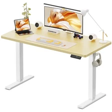 48x24 Inches Height Adjustable Electric Standing Desk with 2 Hooks for Home O...