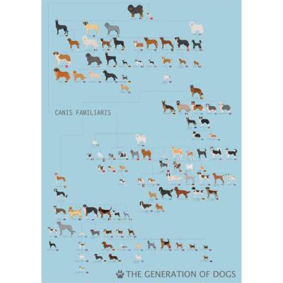 Dog Names Top 100 Dogs Tv Show 100 Favourite Dogs 2019 2025