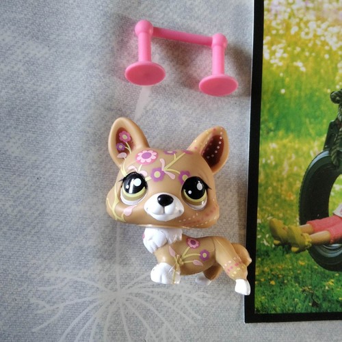 Littlest Pet Shop - Genuine HASBRO - LPS - chien / dog 1851 - # 46 - Imagen 2 de 3