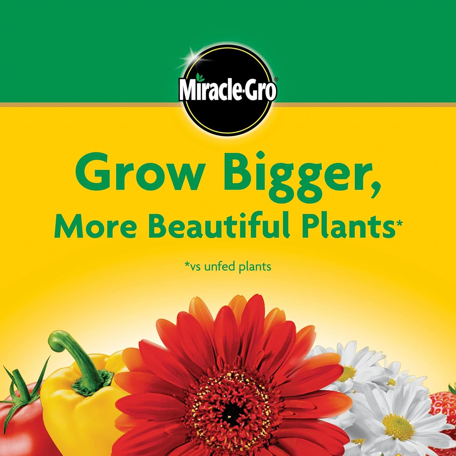 Miracle-Gro Water Soluble All Purpose Plant Food, for All Indoor or Outdoor Plan