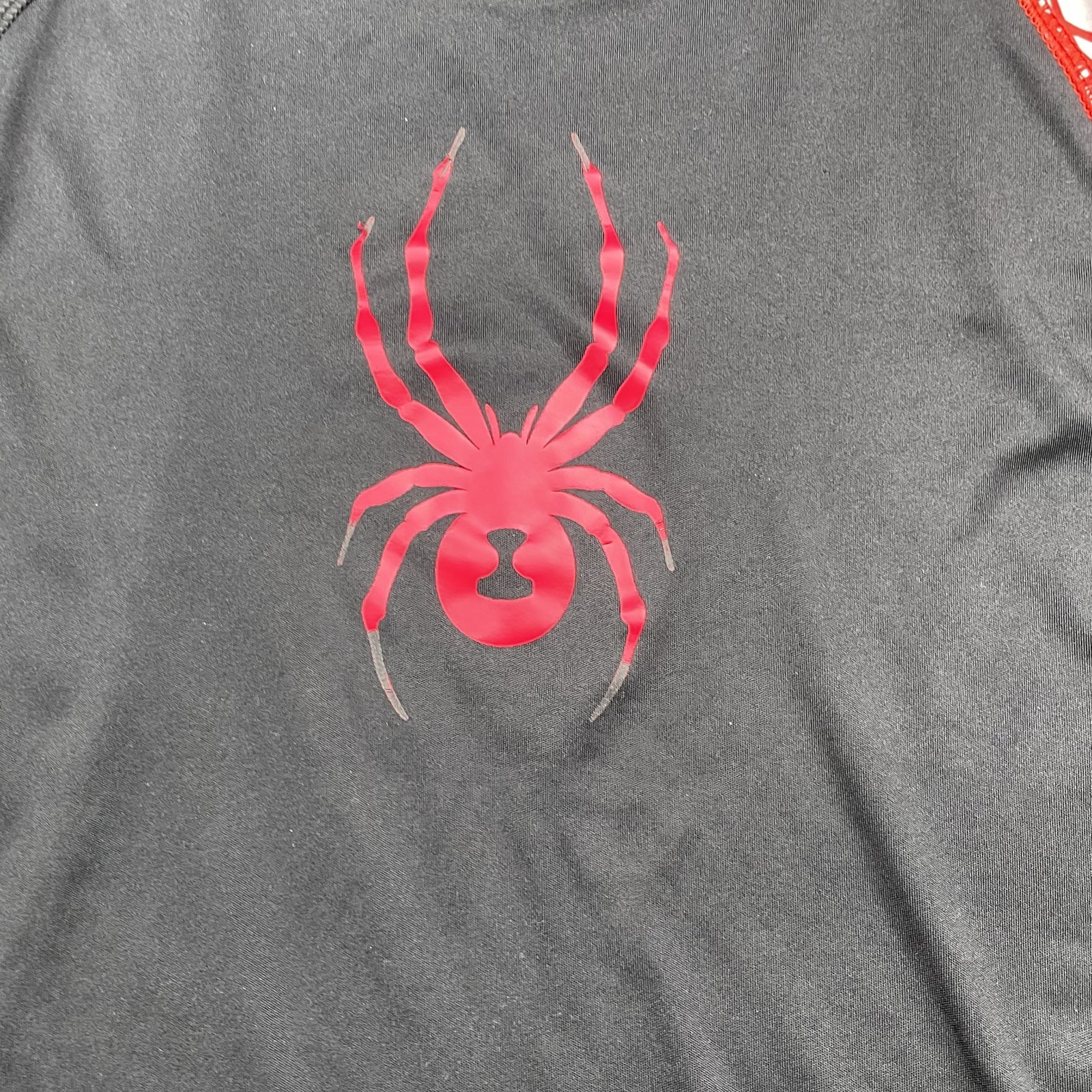 Picture 4 of 11