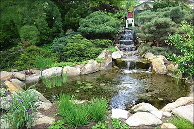 inexpensive glp-1 GLP-1 Supplement for Weight Management & Cravings  Sunmed CBD