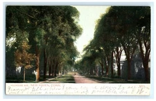 Hillhouse Ave New Haven CT Connecticut Postcard (AK1)