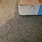 Picture 3 of 10