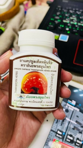 3x Reishi Lingzhi Mushroom Capsules Ganoderma Lucidum THANYAPORN Herb Herbal - Picture 10 of 11
