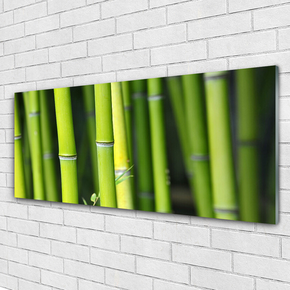 Impression sur verre acrylique nature bambou pour créer un salon zen et lumineux