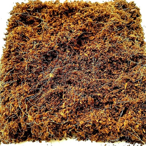 Natural COCONUT COIR + COCO PEAT Hydroponic Growing Media (100g- 500g | 1 -5Kg ) - Picture 6 of 8
