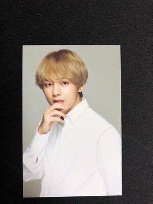 BTS 『V APP BTS CAT』50枚組 Amazon.co.jp: BTS V Kim Taehyung TYPE 1 Photobook with
