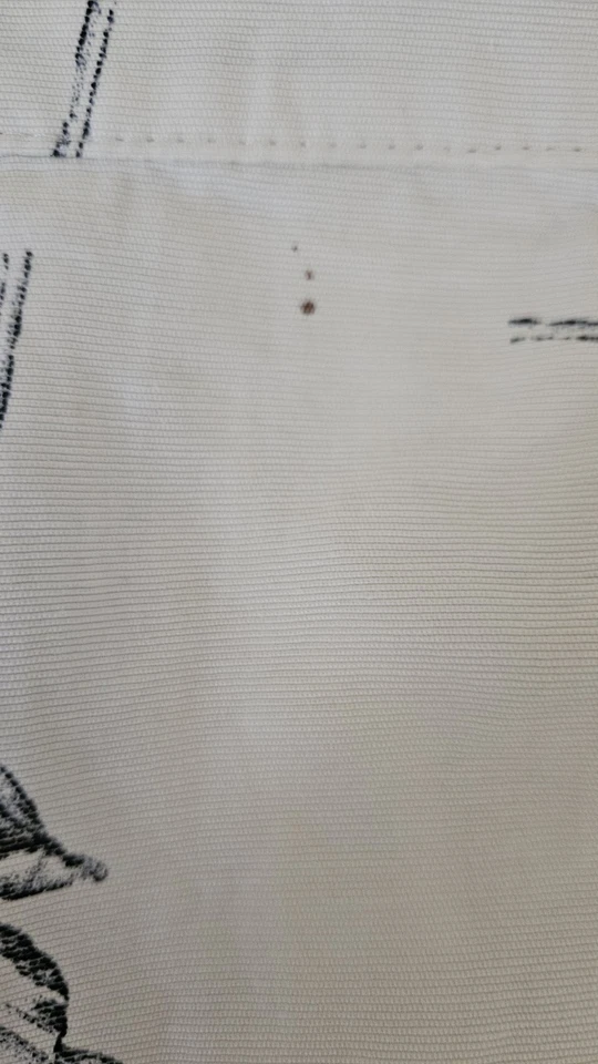 Warehouse Ivory and Black Floral Pleated Midi Cotton A Line Skirt Size 10 - Image 4 of 4