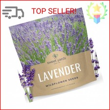 Lavender - Large 1/4 Ounce Packet - 7,000 Flower Seeds for Planting - Lavandula