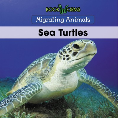 Sea Turtles (Migrating Animals)