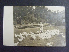 Girl Feeding Chickens Farm Life Chores Real Photo Postcard RPPC c1908-10